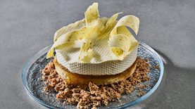 פיננסייר תפוזים, צילום: נועם פריסמן